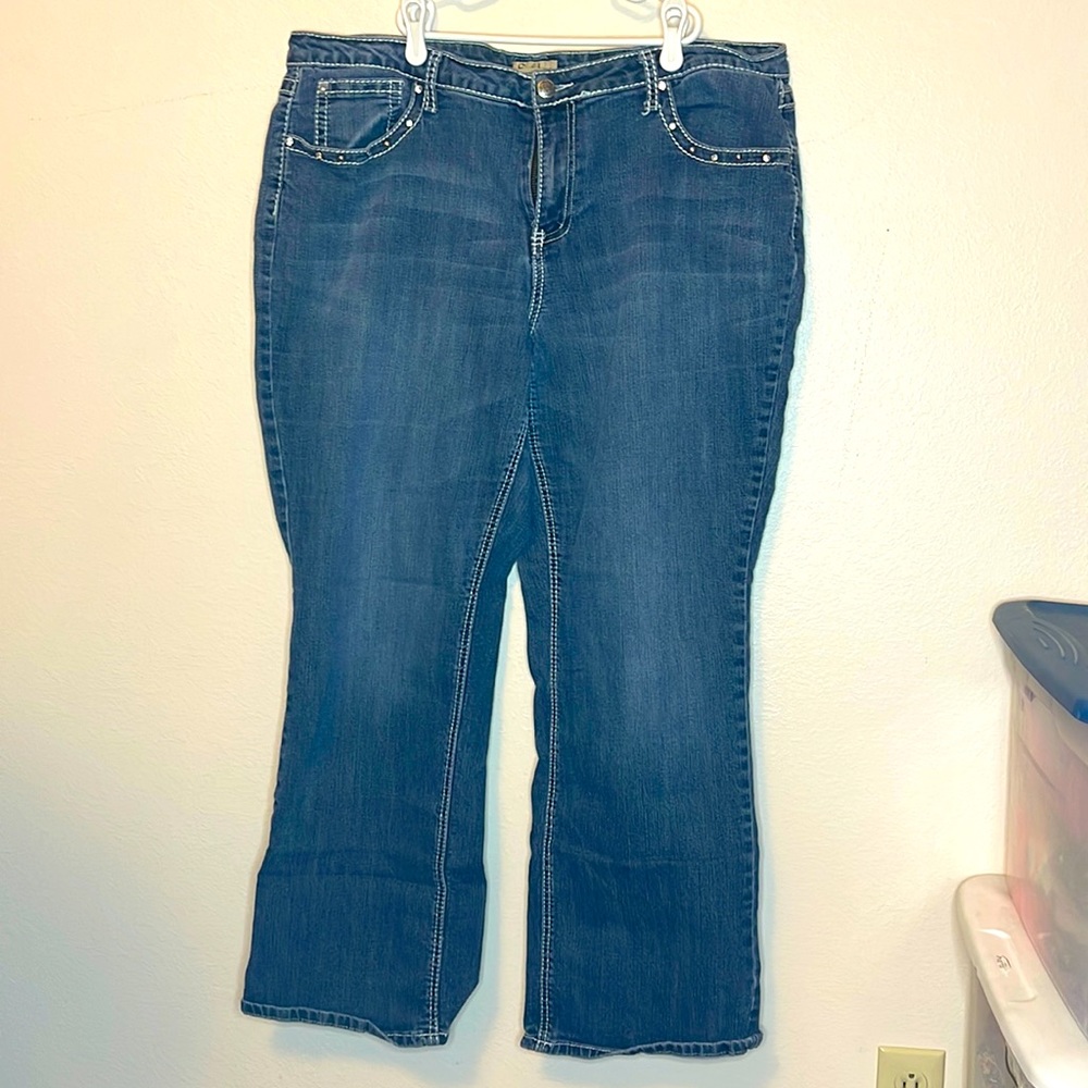 💙 Earl Women’s Jeans - Size 20W 💙